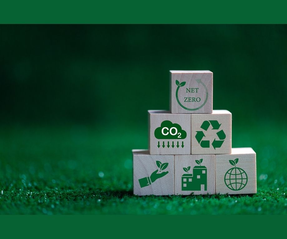 Chứng chỉ xanh Green Globes: Tiêu chuẩn công trình xanh uy tín